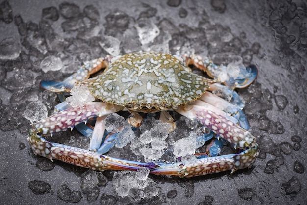 Caranguejo de frutos do mar no gelo