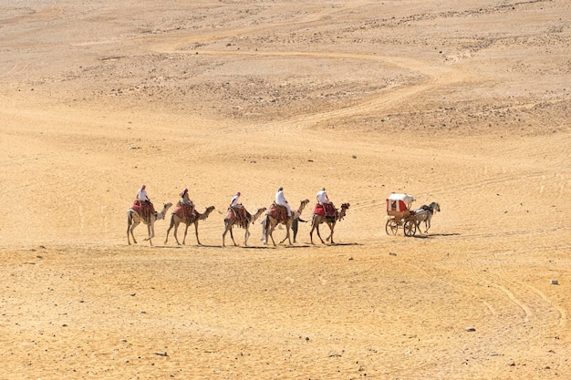 Caravana de camelos atravessando as dunas de areia no deserto