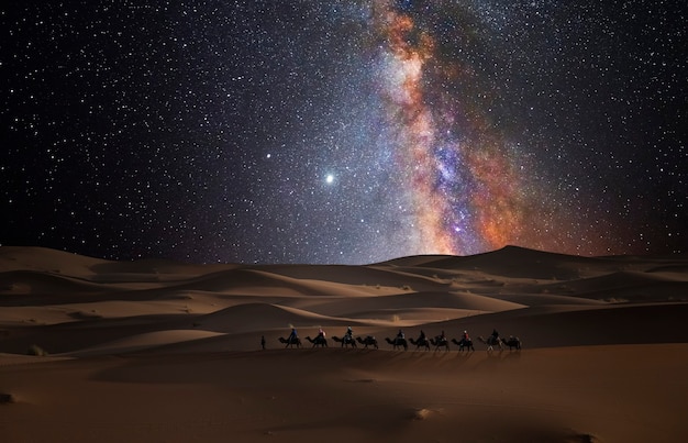 Caravana de camelos no deserto sob as estrelas
