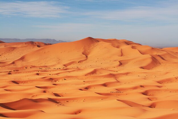 caravana no deserto