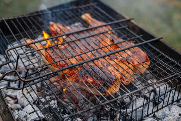 carbón para cocinar pollo a la parrilla brasero naturaleza aire fresco