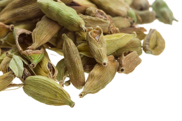 Cardamomo