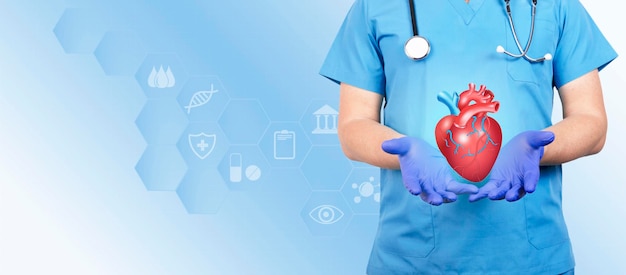Cardiólogo con estetoscopio con símbolo, apoya un corazón rojo realista como símbolo de la prevención y tratamiento de enfermedades cardiovasculares. Copie el espacio. foto de alta calidad