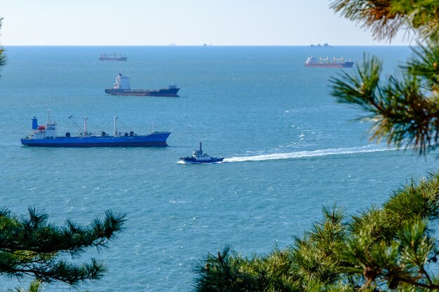 Carga de transporte e barco de pesca em quadro de árvore