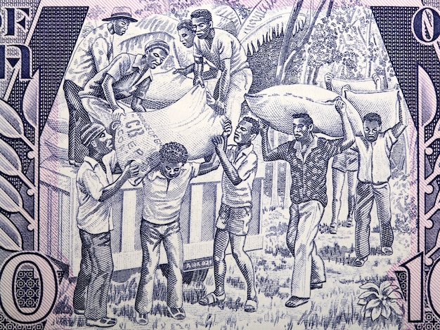 Foto carga de productos del antiguo dinero de ghana