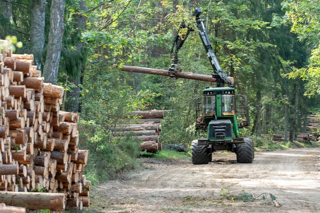 Foto carga de troncos en un remolque de camión utilizando un tractor cargador con una grúa de agarre transporte de troncos de coníferas al aserradero deforestación y explotación de la naturaleza tala de árboles