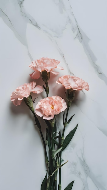 Carnations en fondo de mármol con inspiración para el Día de las Madres Papel de pared móvil vertical