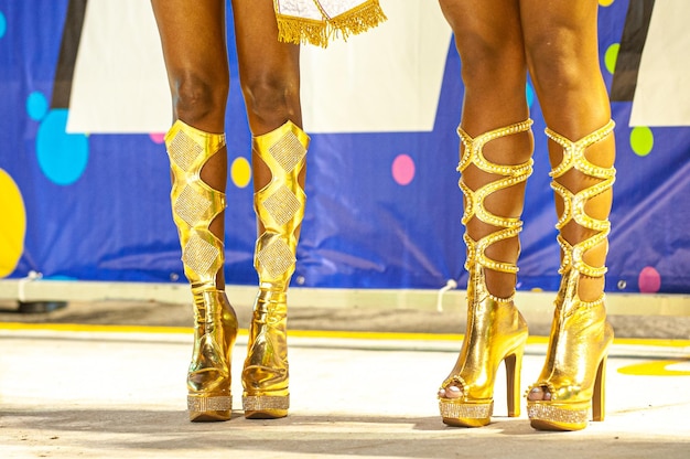 Carnaval no Brasil na Passarela do Samba a maior festa popular do mundo com muita cor j