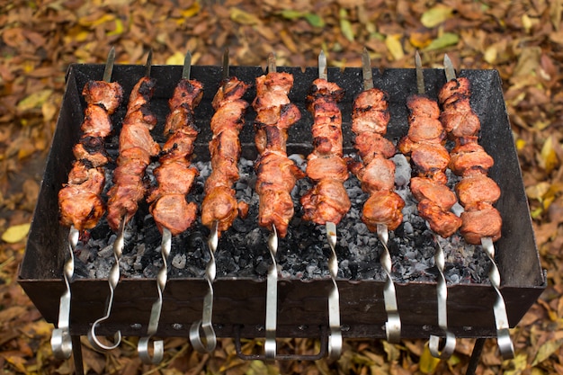 Carne asada al fuego barbacoa kebabs a la parrilla