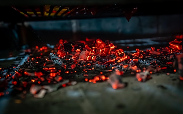 Carne a la brasa en la barbacoa