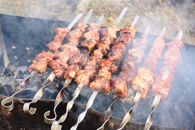 La carne en brochetas se fríe a fuego abierto en la parrilla.