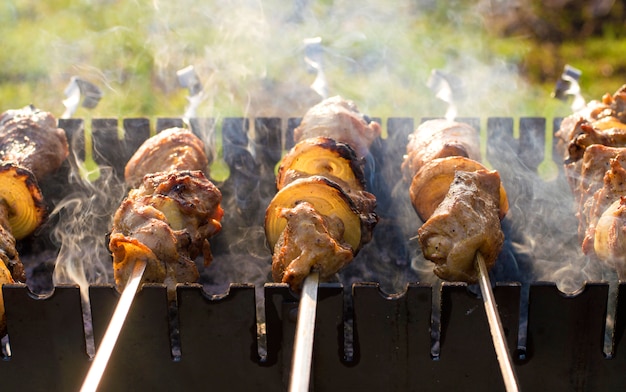 Carne en brochetas a la parrilla en el humo