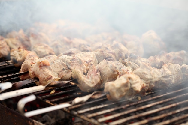 Carne fresca en un pincho de acero en un brasero