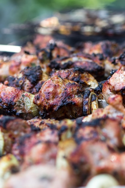 Carne frita na grelha com cebola Porco marinado frito no fogo