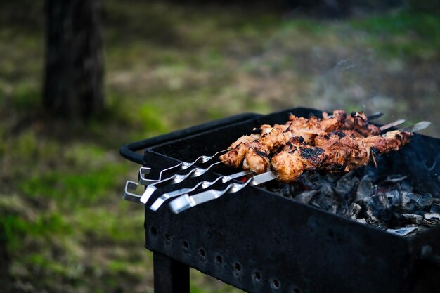 Carne grelhada na brasa Frango Churrasco Carne no espeto Carne no espeto Foto horizontal