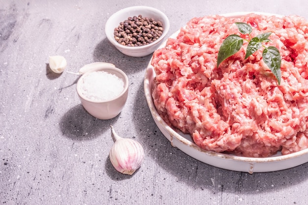 Carne picada en un soporte de cerámica. Carne de cerdo cruda, hojas de hierbas frescas, especias, sal marina y ajo. Luz dura moderna, sombra oscura. Fondo de hormigón de piedra gris, cerrar