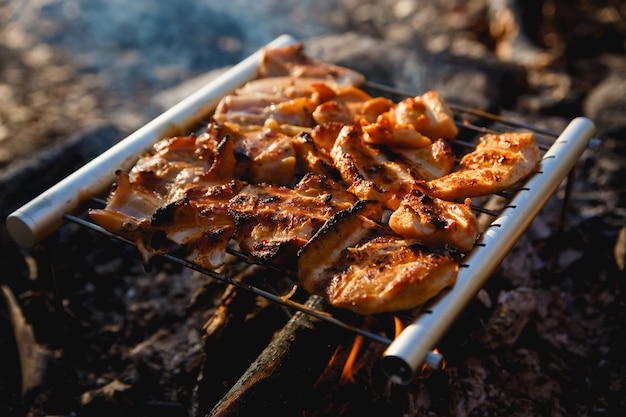 Foto carne de pollo en el campamento de fuego. concepto de senderismo de parrilla de barbacoa de acero inoxidable portátil. cocinar en la naturaleza salvaje.