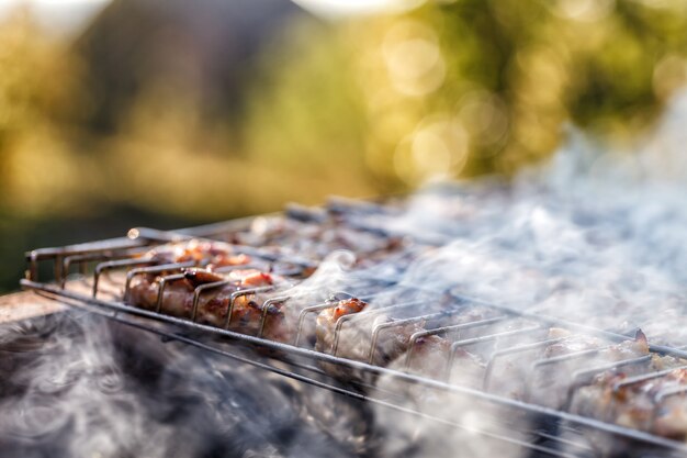 Carne de pollo frita en una parrilla de barbacoa.