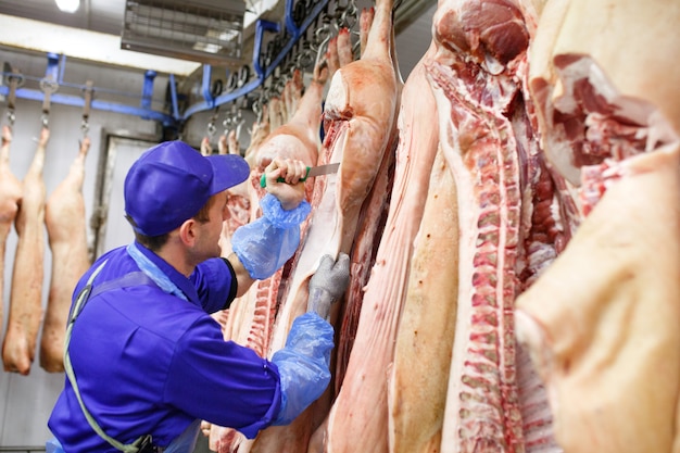 Carnicero cortando carne de cerdo en la fabricación de carne.