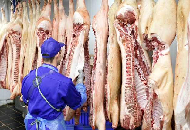 Carnicero cortando carne de cerdo en la fabricación de carne.