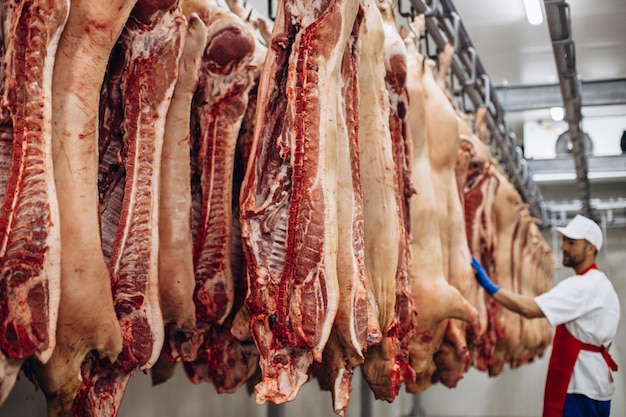 Carnicero joven en la fábrica de carne de pie junto a la carne colgante