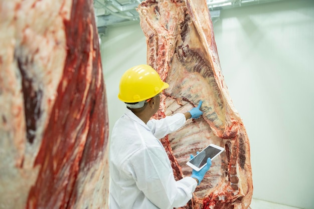 Un carnicero wagyu que sostiene una tableta inspecciona las piezas y cuenta el stock de carne wagyu japonesa que cuelga en la cámara frigorífica