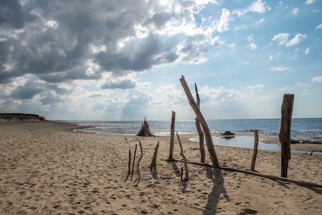 Carnikava lettland küstenszene an der ostsee mit umgestürzten bäumen an einem sonnigen tag