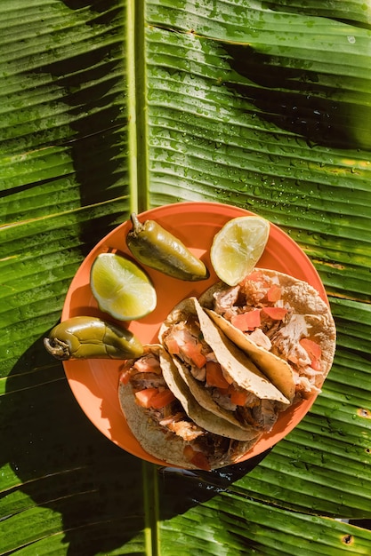 Carnitas de cerdo a la mexicana fritas en manteca