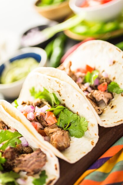 Carnitas de porco desfiado com pico de gallo numa tortilha de farinha.