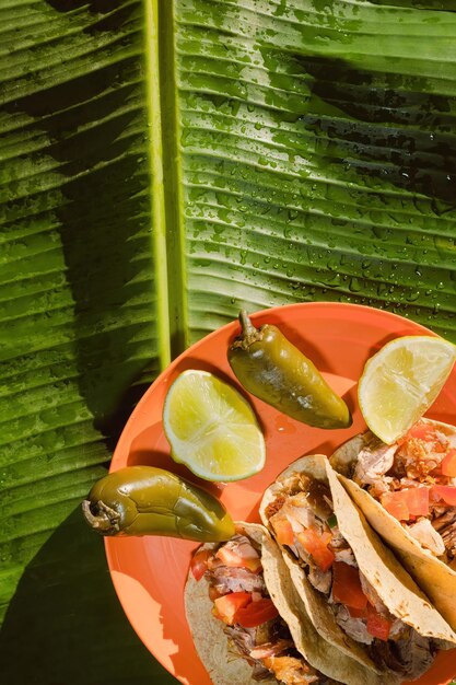 Carnitas de porco no México fritas em banha