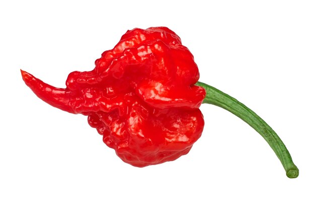 Carolina reaper pimenta c caminhos chineses