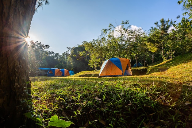 Foto carpa al aire libre colorida