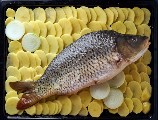 Carpa crua, peixe inteiro com batatas fatiadas na bandeja em azul.