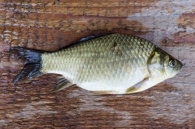 Carpa em um fundo de madeira,