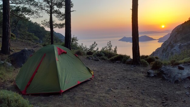 Una carpa frente a una puesta de sol.