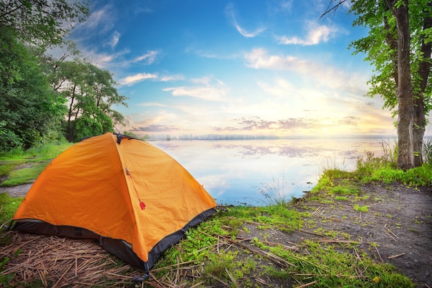 Carpa naranja junto al lago al atardecer.