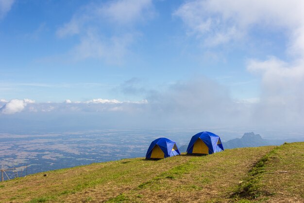 Carpa en un pasto