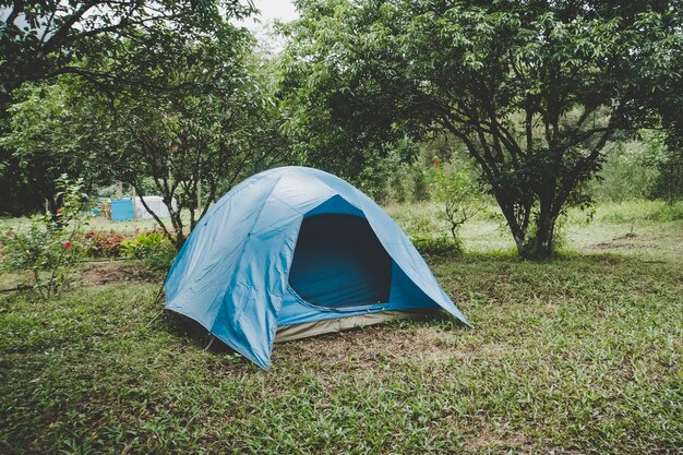 Carpa turística en el bosque verde, carpa azul en el camping entre árboles pequeños. Vietnam.