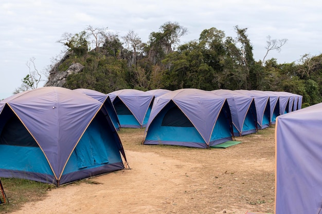 Carpas azules alineadas