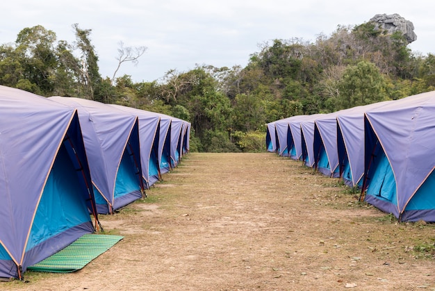 Carpas azules alineadas