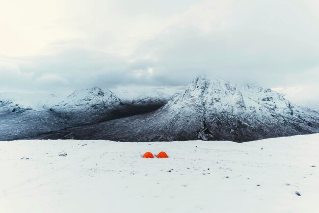 Carpas naranjas en una montaña nevada