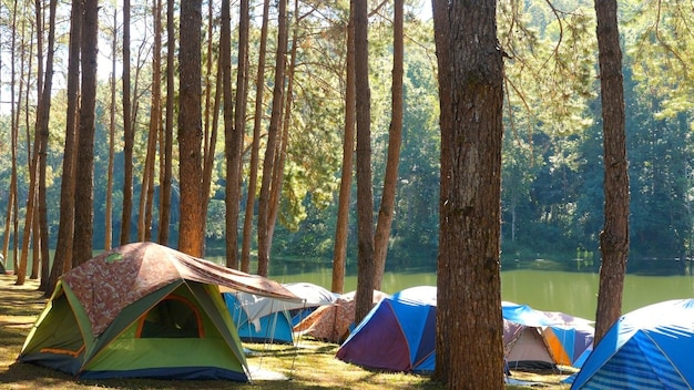 Carpas zona de camping lago verde al sol zona de camping natural con árboles