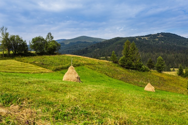 Cárpatos de paisaje de montaña de verano