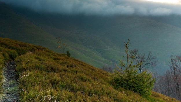 Cárpatos Pylypets Ucrânia Montanha nuvem vista de cima paisagem Timelapse da cordilheira MaguraDzhide nos Cárpatos do ar Monte Gemba Shipit Karpat