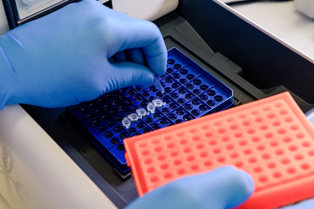 Carregando um tubo de DNA em uma máquina de termociclador de PCR (reação em cadeia da polimerase) em um laboratório de biociência.