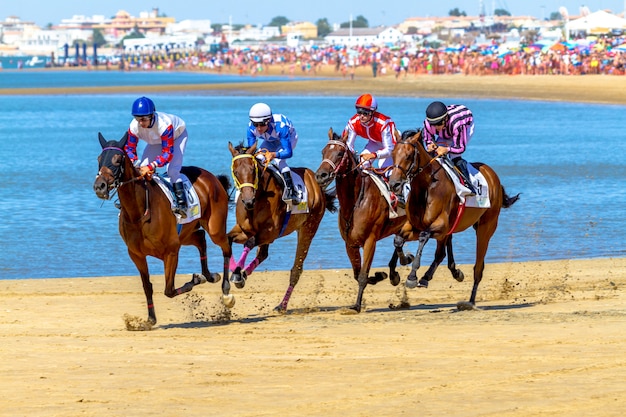 Carrera de caballos en Sanlúcar de Barrameda, España, 2016