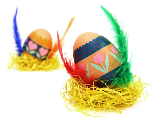 Carrera de huevos de Pascua Alas hechas de plumas de color Aisladas en blanco