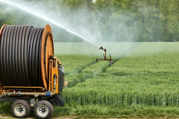 Carretel de irrigação com aspersor em movimento para cultivar um campo