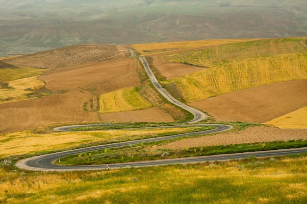 Carretera abandonada en colina amarilla y verde.