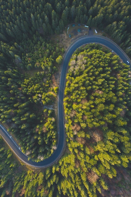 Carretera aérea curva de un avión no tripulado. Carretera asfaltada del bosque en las montañas cerca de pinos y abetos